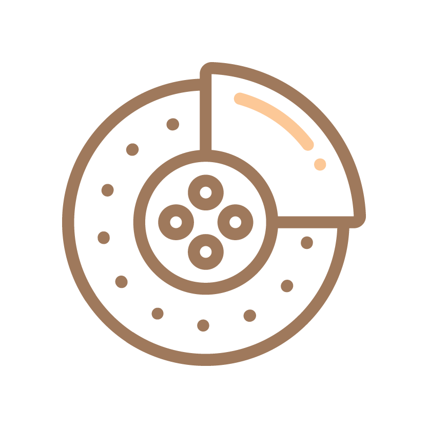 Petra Automotive Products Brake World